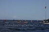 2010-maui-to-molokai-challenge-003