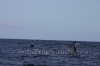 2010-maui-to-molokai-challenge-006