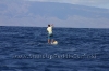 2010-maui-to-molokai-challenge-016