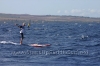 2010-maui-to-molokai-challenge-019