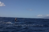 2010-maui-to-molokai-challenge-022