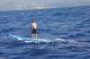 2010-maui-to-molokai-challenge-043