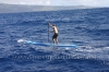 2010-maui-to-molokai-challenge-044