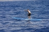 2010-maui-to-molokai-challenge-048