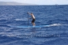 2010-maui-to-molokai-challenge-049