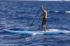 2010-maui-to-molokai-challenge-050