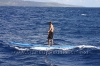 2010-maui-to-molokai-challenge-052