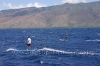 2010-maui-to-molokai-challenge-122