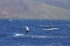 2010-maui-to-molokai-challenge-125