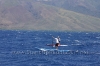 2010-maui-to-molokai-challenge-127