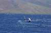 2010-maui-to-molokai-challenge-128