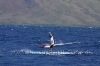 2010-maui-to-molokai-challenge-131