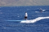 2010-maui-to-molokai-challenge-133