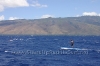 2010-maui-to-molokai-challenge-139