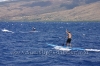 2010-maui-to-molokai-challenge-140