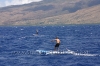 2010-maui-to-molokai-challenge-141