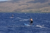 2010-maui-to-molokai-challenge-146