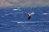 2010-maui-to-molokai-challenge-148