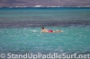 2012-wet-feet-blue-planet-surf-wpa-hawaii-regional-championships-race-005