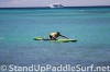 2012-wet-feet-blue-planet-surf-wpa-hawaii-regional-championships-race-017