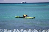 2012-wet-feet-blue-planet-surf-wpa-hawaii-regional-championships-race-018