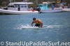 2013-molokai-2-oahu-paddleboard-race-034