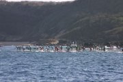 2010-molokai-to-oahu-race-recap-by-connor-baxter-03