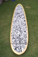 Surftech Takayama Alii 10-7