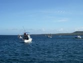 robert-stehlik-at-the-molokai-oahu-race-03