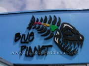 new-blue-planet-surf-store-at-ward-avenue-17