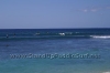 Makaha Makahiki 2008