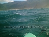 Super Choppy Conditions at Mokuleia on Oahu North Shore