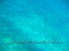 penetrator_run_with_pono_bill-14.jpg                