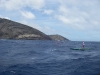 robert-stehlik-at-the-molokai-oahu-race-05