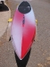 sic-bullet-17-4-sup-racing-board-26