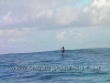 ekolu_kalama_at_sunset_beach-06.jpg         