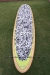 Surftech Takayama Alii 10-7